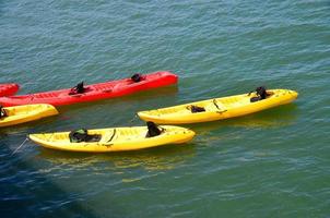 grupo de kayaks foto