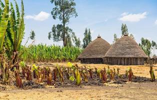 Traditional village houses in Ethiopia
