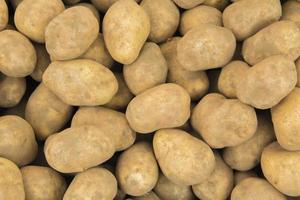 winter potatoes photo