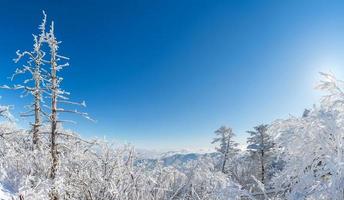 Panorama of winter, korea