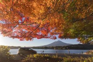 las hojas de arce cambian a color de otoño en el monte Fuji, Japón foto