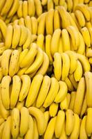 Yellow bananas photo