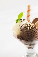 Balls of chocolate and vanilla ice-cream photo