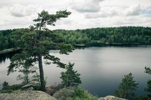 vista al lago sueco