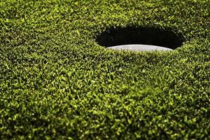 Golf Green