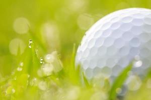 Close up golf ball on grass with water drops