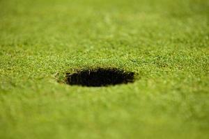 Close-up of hole on putting green photo