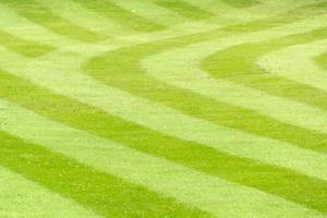 striped lawn photo
