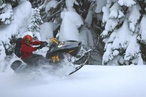 Snowmobile Roost photo
