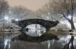 Central Park NYC en la noche en invierno foto