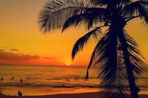 Tropical sunset photo