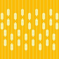 Field of wheat seamless pattern vector