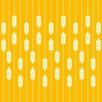 Field of wheat seamless pattern vector