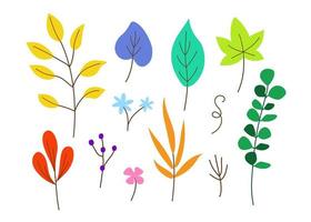 Collection of Colorful Leaves in Different Shapes vector