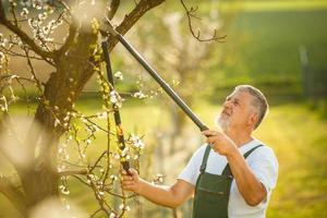 Portrait of a handsome senior man gardening photo