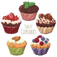 Group of cupcakes  vector