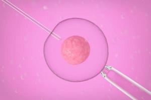 primer plano de inseminación artificial foto