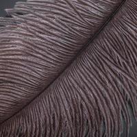 brown feather close-up photo