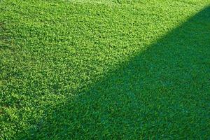 textura de hierba verde de un campo con media sombra