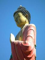 estatua de Buda de cerca