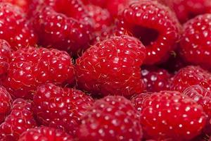 ripe raspberries   close-up photo