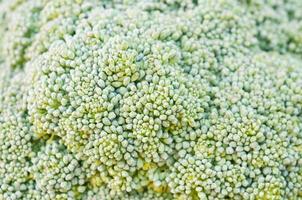 fresh broccoli close up