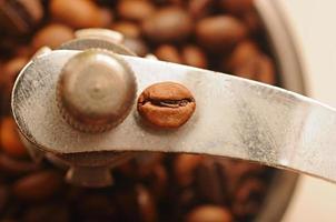 granos de café de primer plano foto