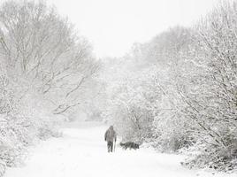 Man and dog in snow photo