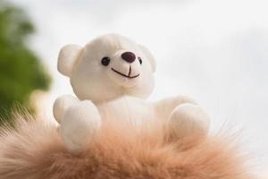Teddy bear with photo