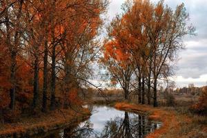 elk river in autumn 2