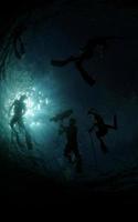 grupo de buzos submarinos de pesca submarina foto