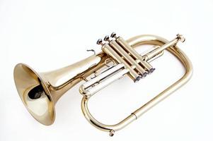 trompeta flugelhorn aislado en blanco