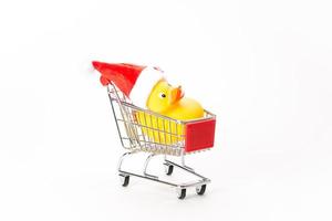 Caddy for shopping with christmas duck photo