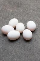 seis huevos de pato foto