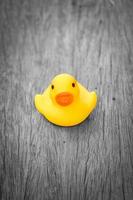 yellow plastic duck toy photo