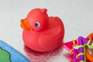 red rubber duck photo