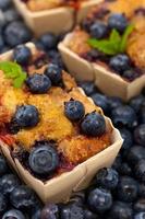 Blueberry Mini Cakes