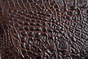 textura de piel de cocodrilo foto