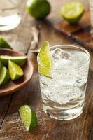 gin tonic alcohólico foto