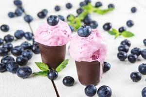 blueberry ice cream or frozen yogurt and sprig of mint,