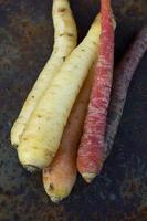 Multi-Coloured Carrots