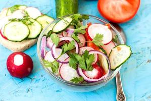 Spring salad with radishes, cucumber, cabbage and onion close-up