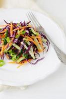 salad with carrots and cabbage photo