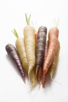 colorful carrots on white background photo