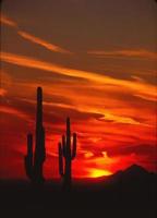 puesta de sol de arizona - enero de 1982 foto