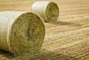 Two Bales Of Hay photo