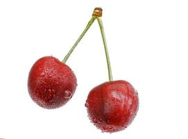 red pair of cherries on white Cut