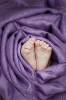 pies de bebé envueltos con un paño suave foto