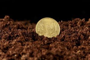 euro money growing in the ground