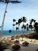 playa dominicana